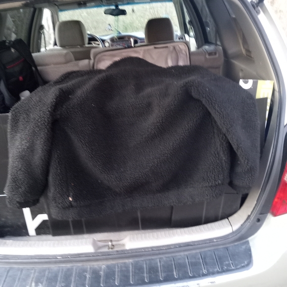 Koiosin teady bear coat - Picture 3 of 3